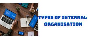 Tpes of Internal Organisation